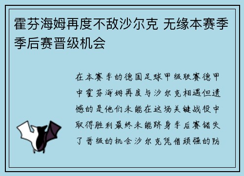 霍芬海姆再度不敌沙尔克 无缘本赛季季后赛晋级机会