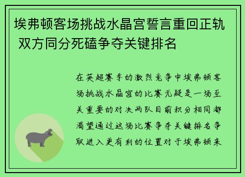 埃弗顿客场挑战水晶宫誓言重回正轨 双方同分死磕争夺关键排名