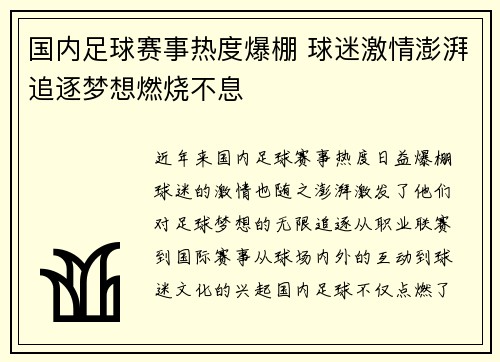 国内足球赛事热度爆棚 球迷激情澎湃追逐梦想燃烧不息